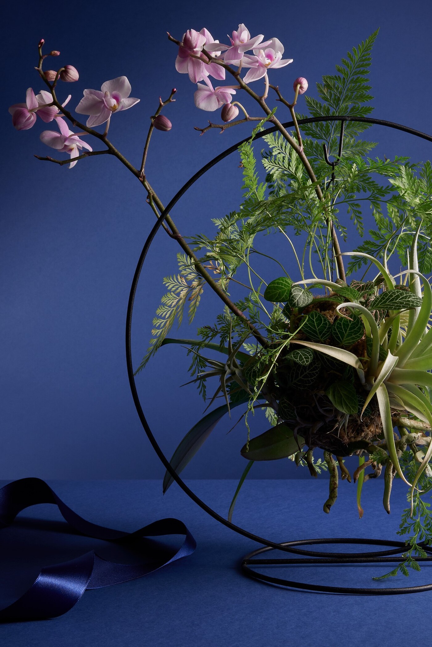 Para as mães que gostam de decoração e natureza, a FLO atelier botânico apresenta escultura botânica com orquídea phalaenopsis. O presente sai por R$ 1.450 — Foto: FLO atelier botânico / Divulgação