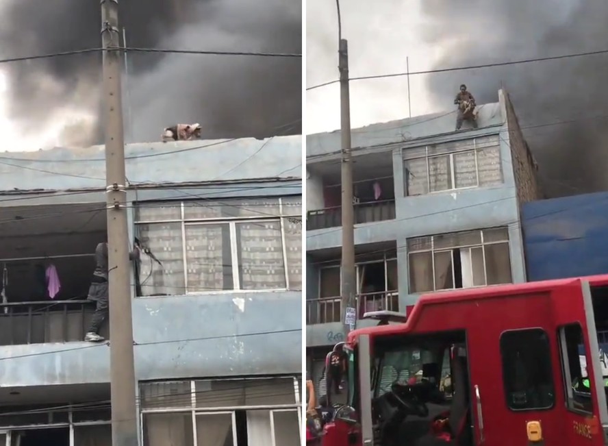 Um morador de rua resgatou cachorros presos em prédio em chamas na região de Lima, no Peru