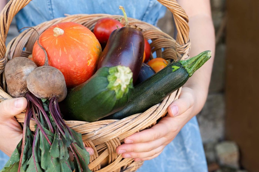 Alimentos orgânicos contêm maiores valores nutricionais, além de não serem cultivados com agrotóxicos, o que contribui para o meio ambiente e à saúde — Foto: Freepik / Creative Commons