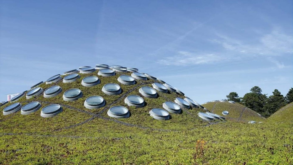 A California Academy of Sciences incorpora um telhado vivo de 37 mil m² com 1,7 milhão de plantas nativas, garantindo isolamento térmico, ventilação natural e refrigeração passiva — Foto: Instagram/@rpbw_architects/Reprodução