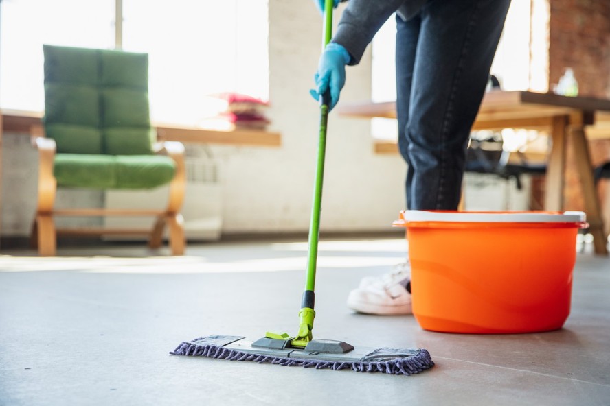 Uma limpeza frequente da casa, dos móveis e estofados é uma boa maneira de prevenir infestações de pulgas