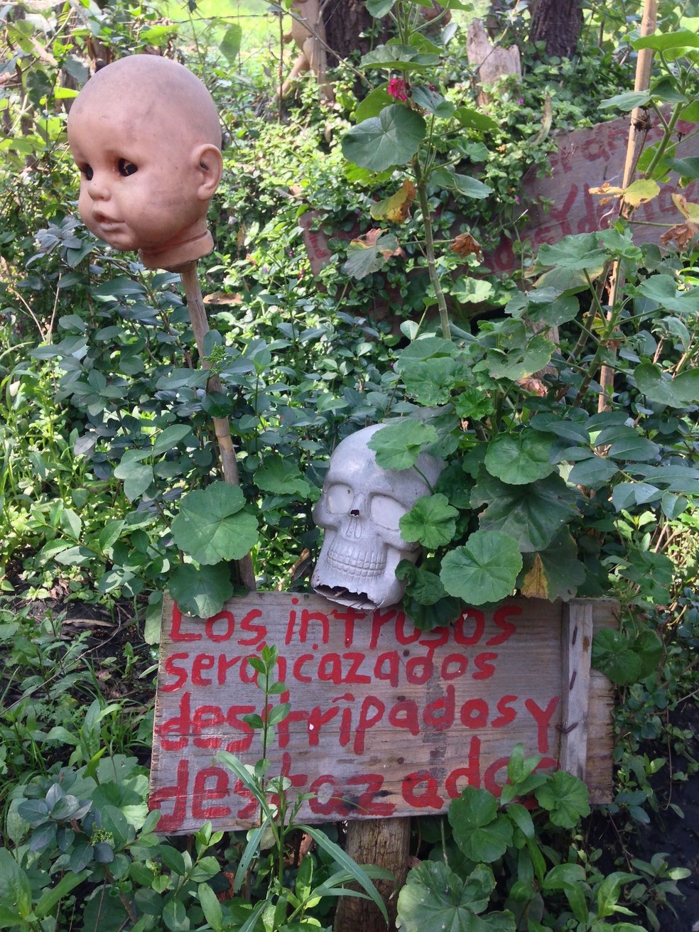 O cartaz pouco simpático manda os curiosos se afastarem da Ilha das Bonecas — Foto: Wikimedia/Wa17gs