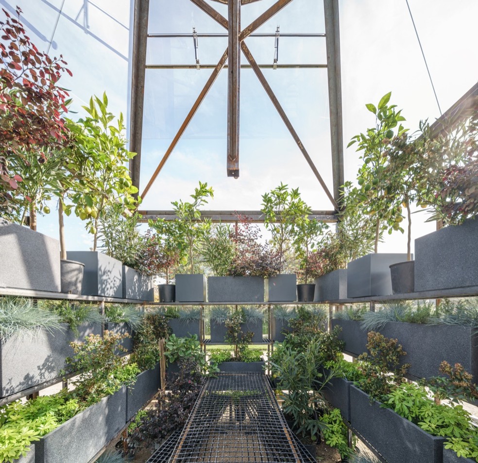 No Pavilhão Verde, as plantas são cultivadas em jardineiras e vasos. Ao centro, uma mesa com tela aramada — Foto: Divulgação