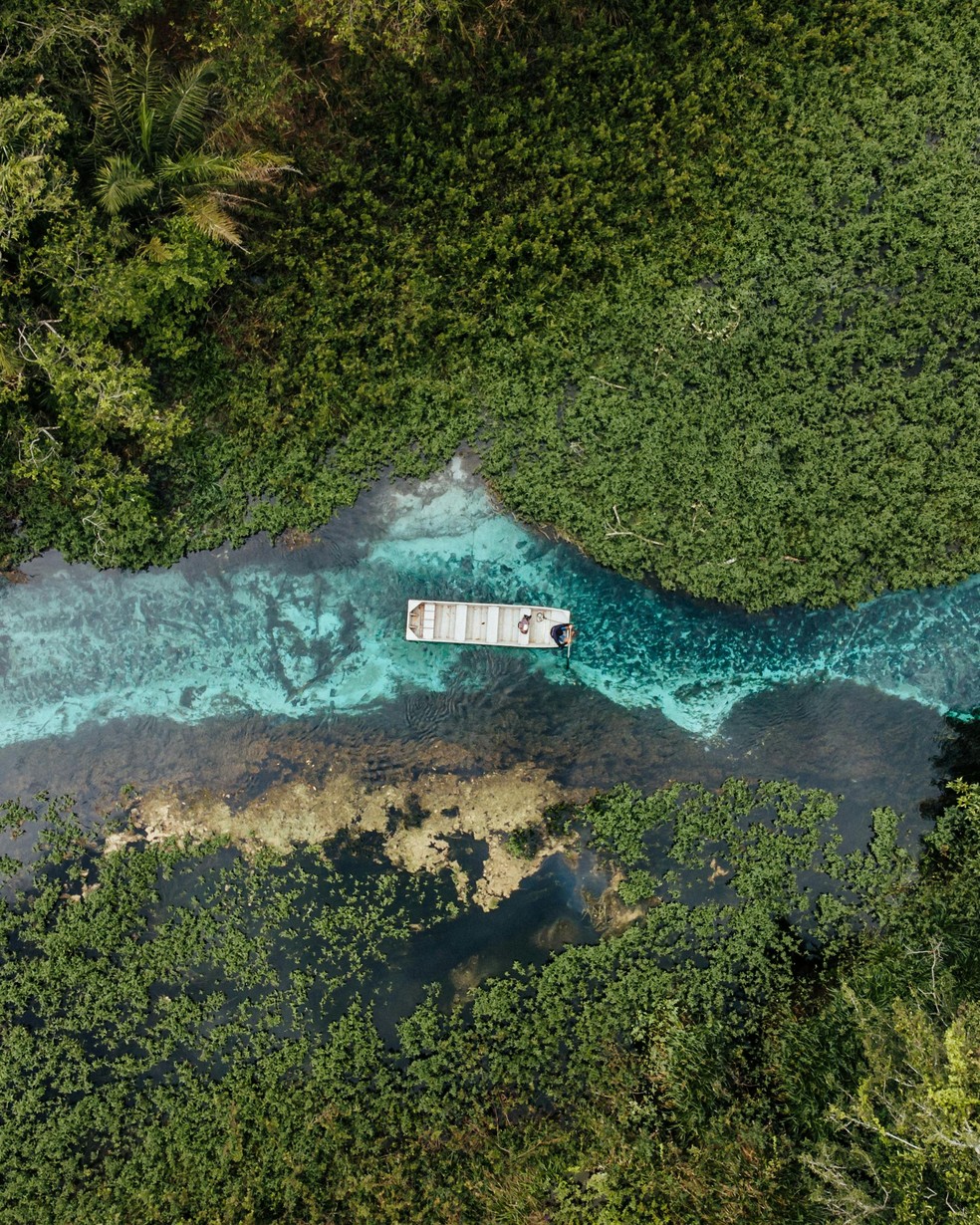 Bonito também não tem praia, mas é um ótimo destino de verão pelos seus rios de águas transparentes, como o rio Sucuri — Foto: Pexels/Paulo Freitas/Creative Commons