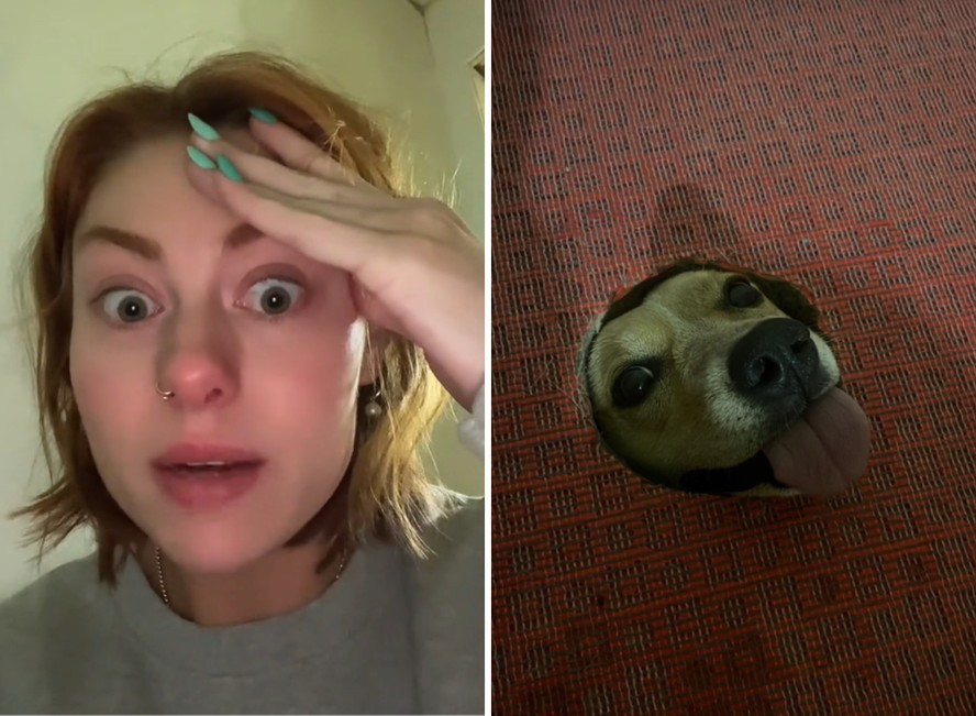 Mulher toma susto com cachorro que aparece em seu banheiro e viraliza no TikTok