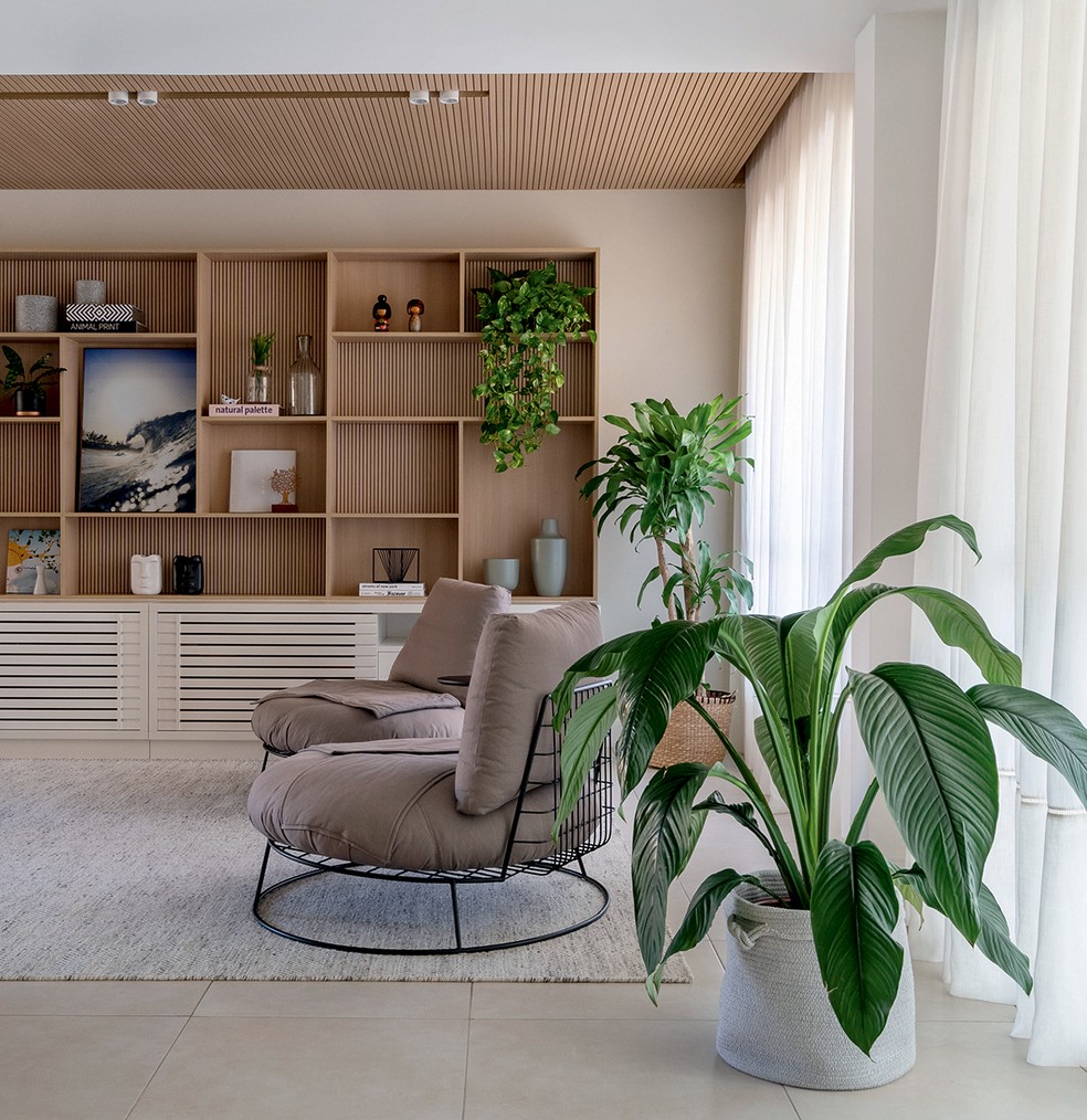 Flores e plantas que serão tendência em 2024 para você usar na decoração
