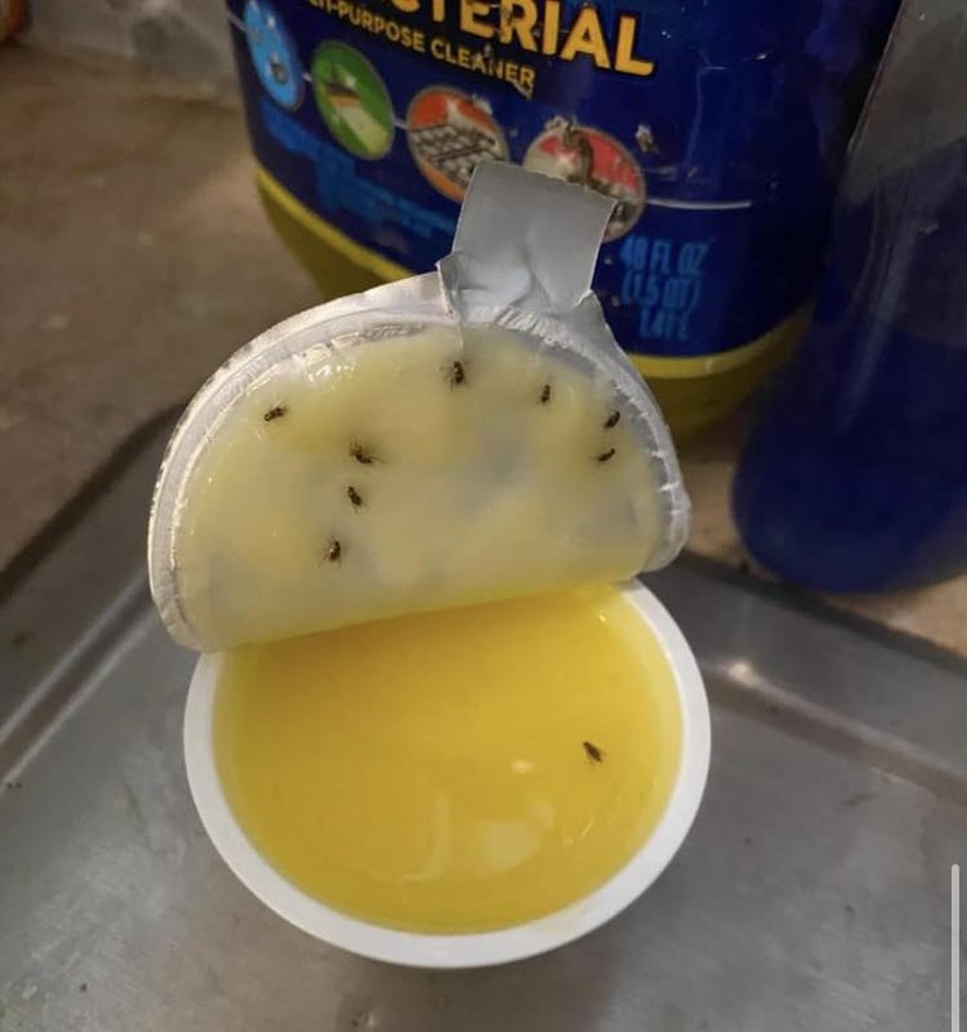 Mulher ensina como se livrar de moscas de frutas no Facebook