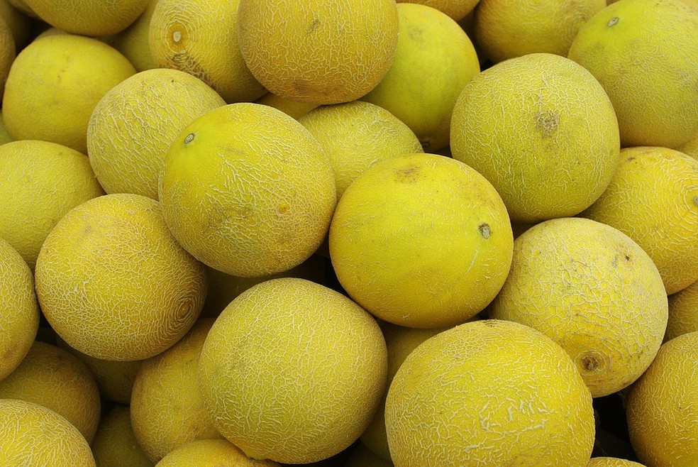 O melão é uma fruta suculenta e refrescante para os dias de calor — Foto: Pixabay / FotosForyou_rk / CreativeCommons