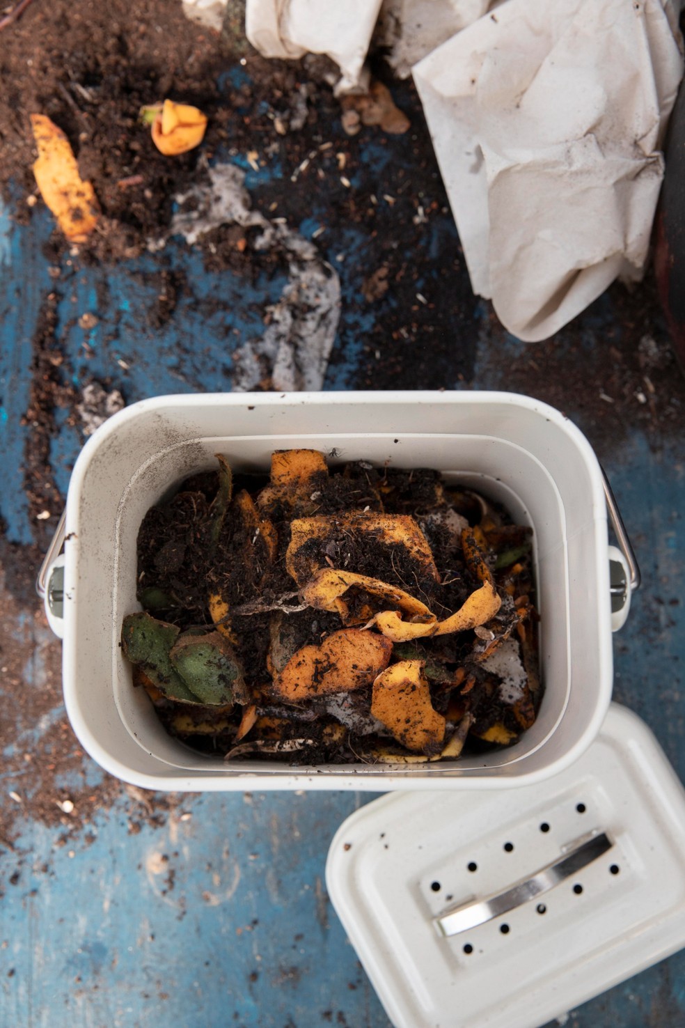 Com uma composteira, você pode produzir o seu próprio adubo orgânico em casa — Foto: Freepik / Creative Commons