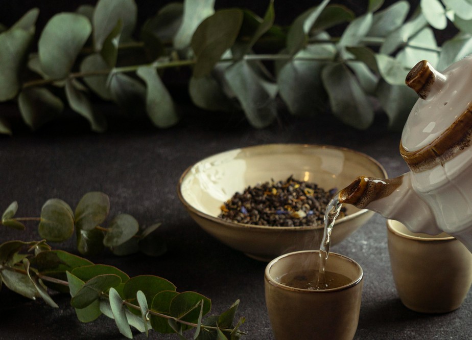 Muitas plantas medicinais indígenas podem ser consumidas na forma de chá, mas é necessário atenção à quantidade