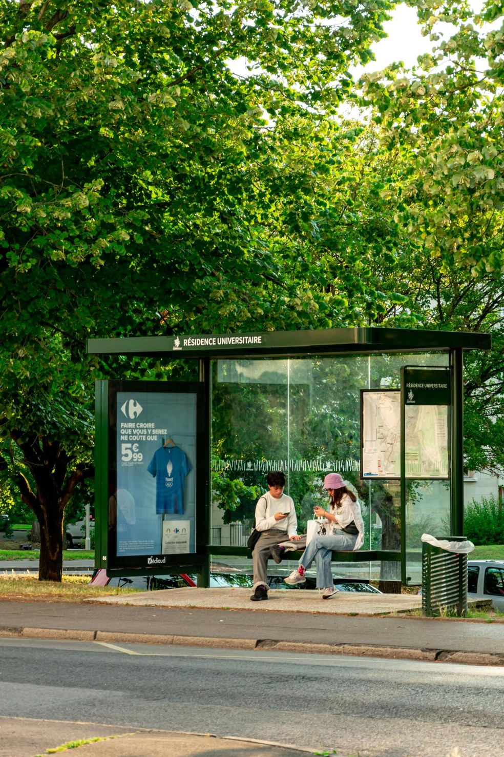 As árvores são importantes para a paisagem urbana, mas estão sendo afetadas pelos eventos climáticos — Foto: Pexels / Bingqian Li / Creative Commons