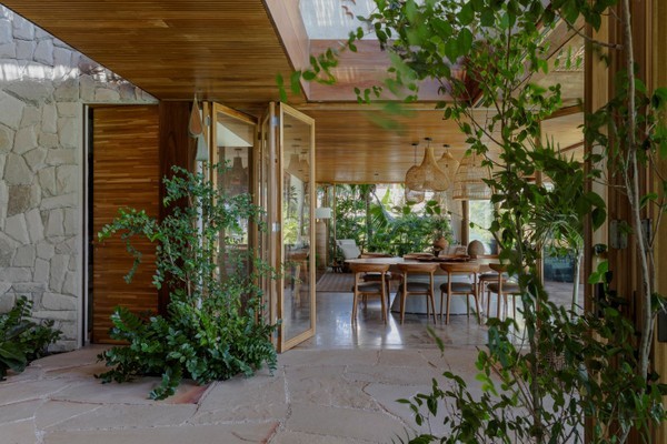 Salas de jantar com plantas: como acertar na escolha e 55 ideias para se inspirar