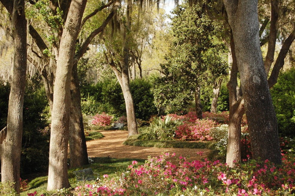 Entre trilhas sinuosas e flora nativa da Flórida Central, o Bok Tower Gardens harmoniza paisagismo histórico e preservação ambiental — Foto: Visit Central Florida/Divulgação