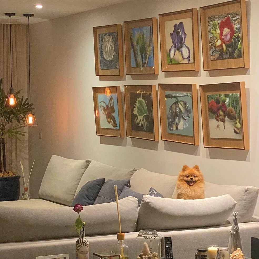 A parede acima do sofá branco tem oito quadros com imagens de flores e frutas — Foto: Instagram / Reprodução