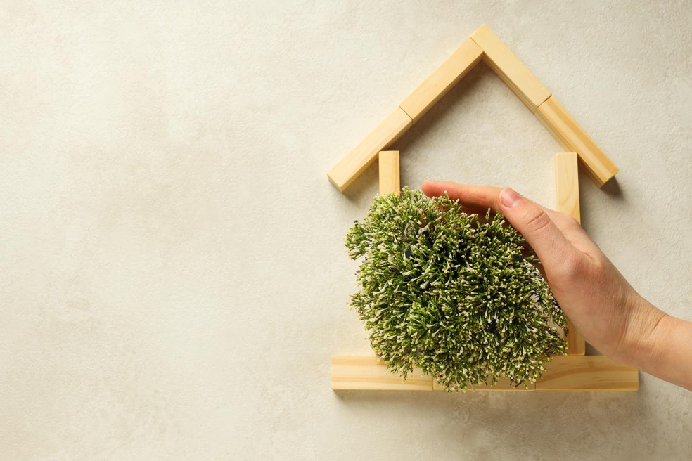 São Paulo, Rio de Janeiro, Curitiba e Recife são algumas das cidades que aceitam o IPTU Verde — Foto: Freepik/Creative Commons