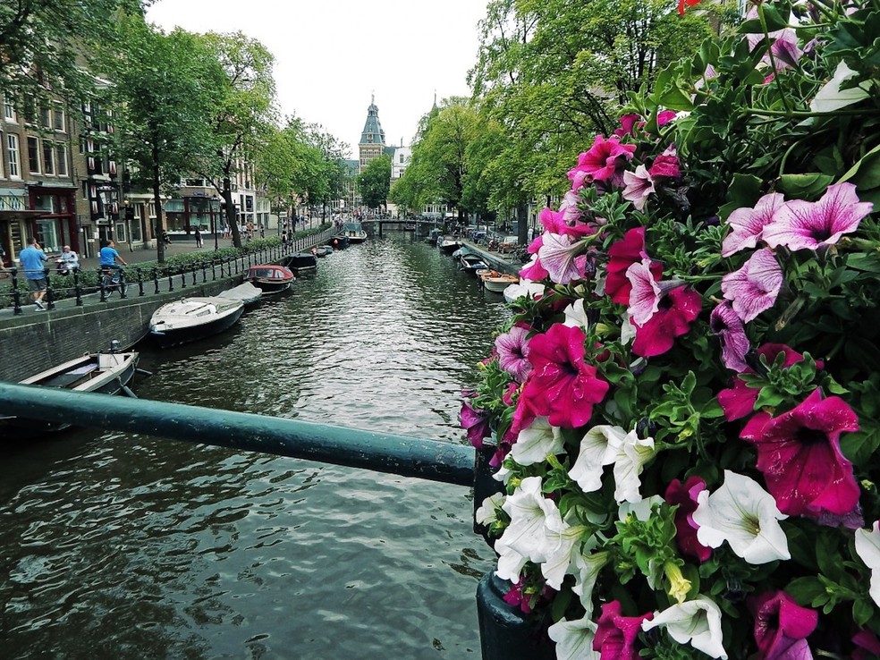 A Holanda e sua flores atraem os nativos do signo de Virgem — Foto: PxHere / Creative Commons