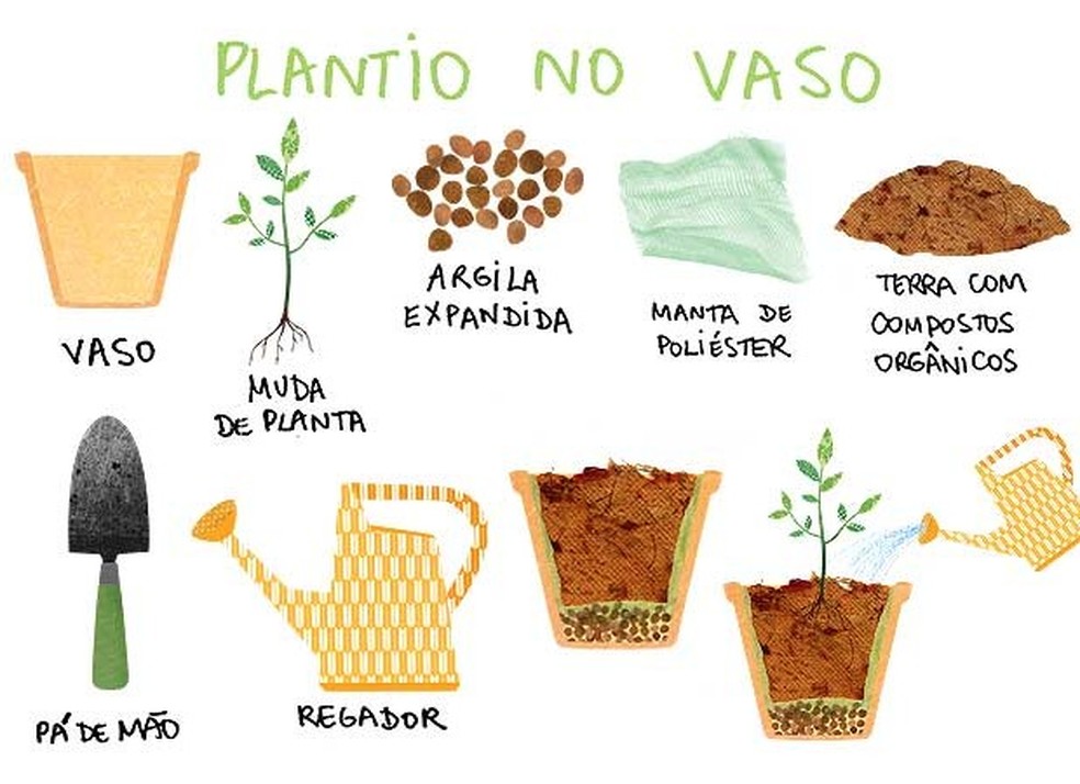 Manual do jardineiro: como cultivar, cuidar e manter as plantas saudáveis