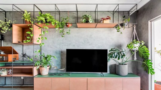 15 plantas ornamentais para decorar a sala de estar e trazer vida à casa