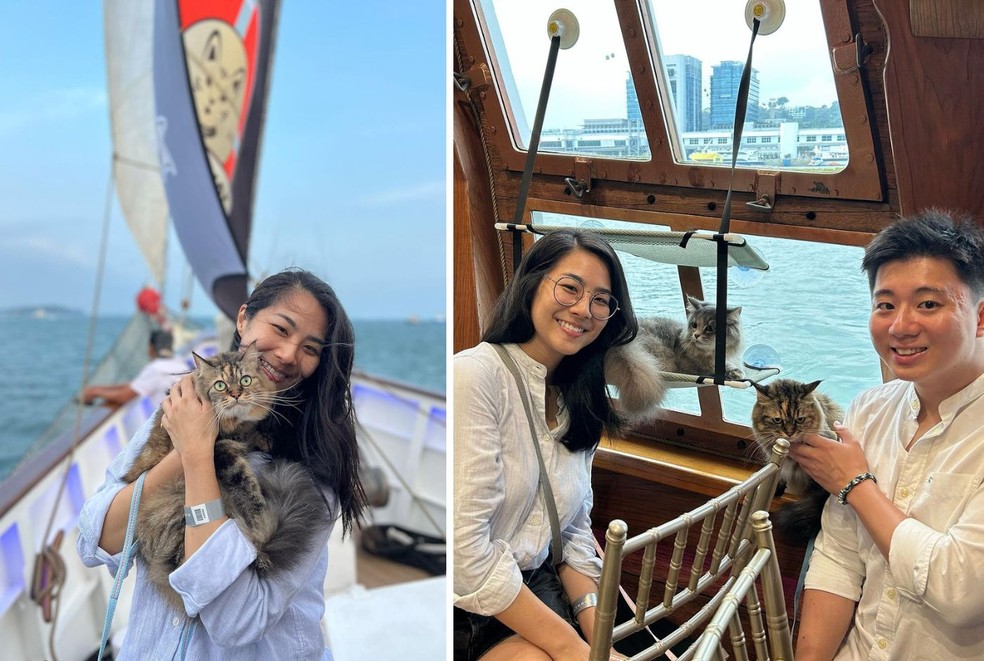 Gatos e tutores podem desfrutar do cruzeiro juntos por R$ 800 por pessoa — Foto: Instagram / @catcruise.sg / Reprodução