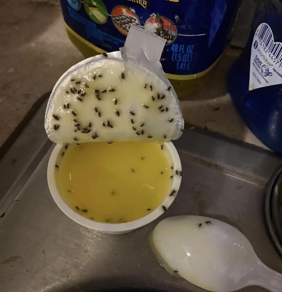 Em apenas cinco minutos, dezenas de moscas-das-frutas ficaram presas na pasta de alho amarela que foi jogada fora — Foto: Facebook / @Wuts The Tea Today / Reprodução