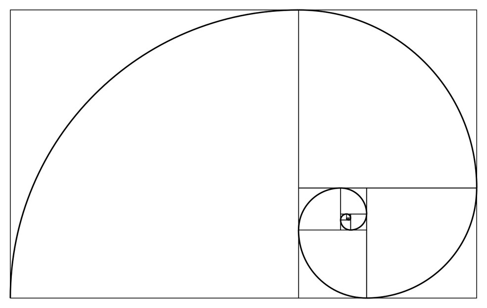 Espiral desenhado a partir da sequência de Fibonacci,a proporção áurea  — Foto: Raymondprucher / Wikimedia Commons / Creative Commons