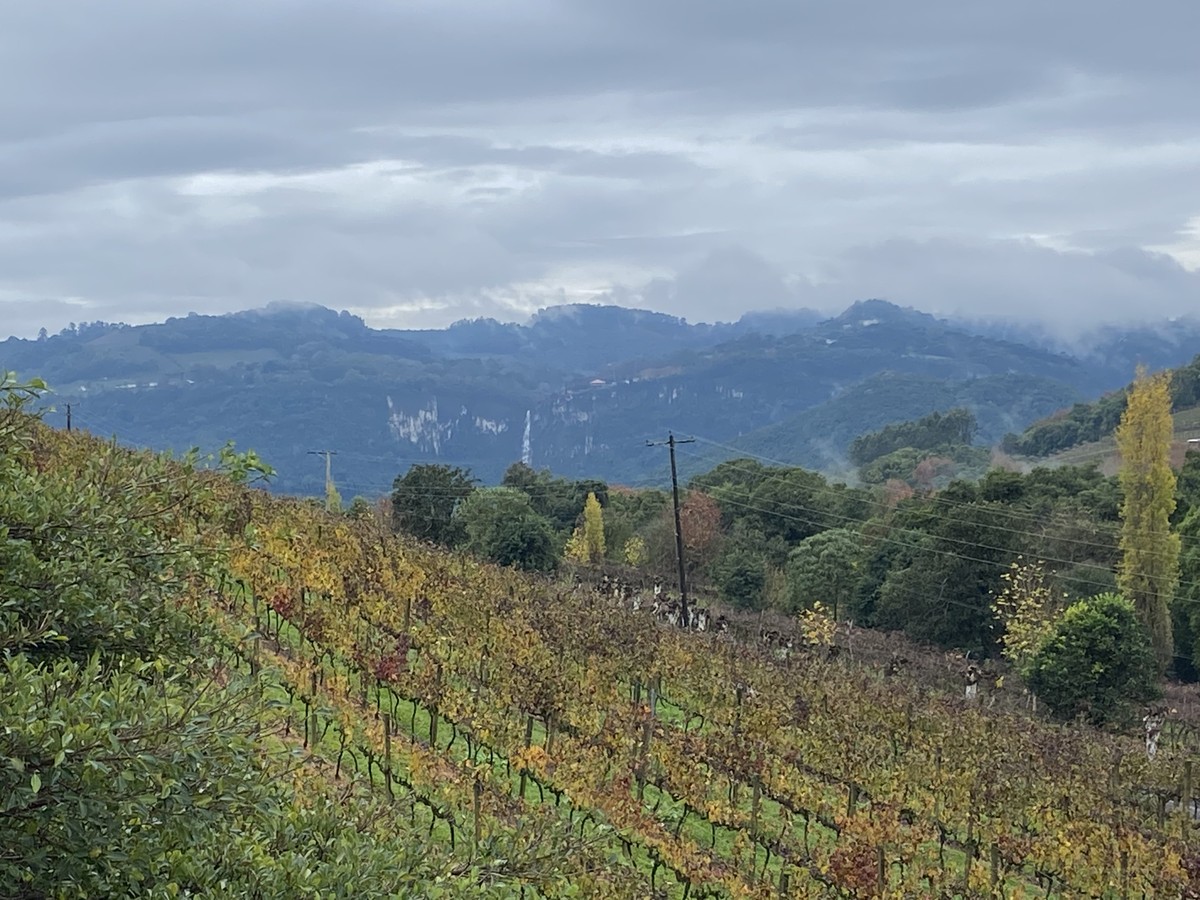 Turismo em Bento Gonçalves, no Rio Grande do Sul, vai muito além dos