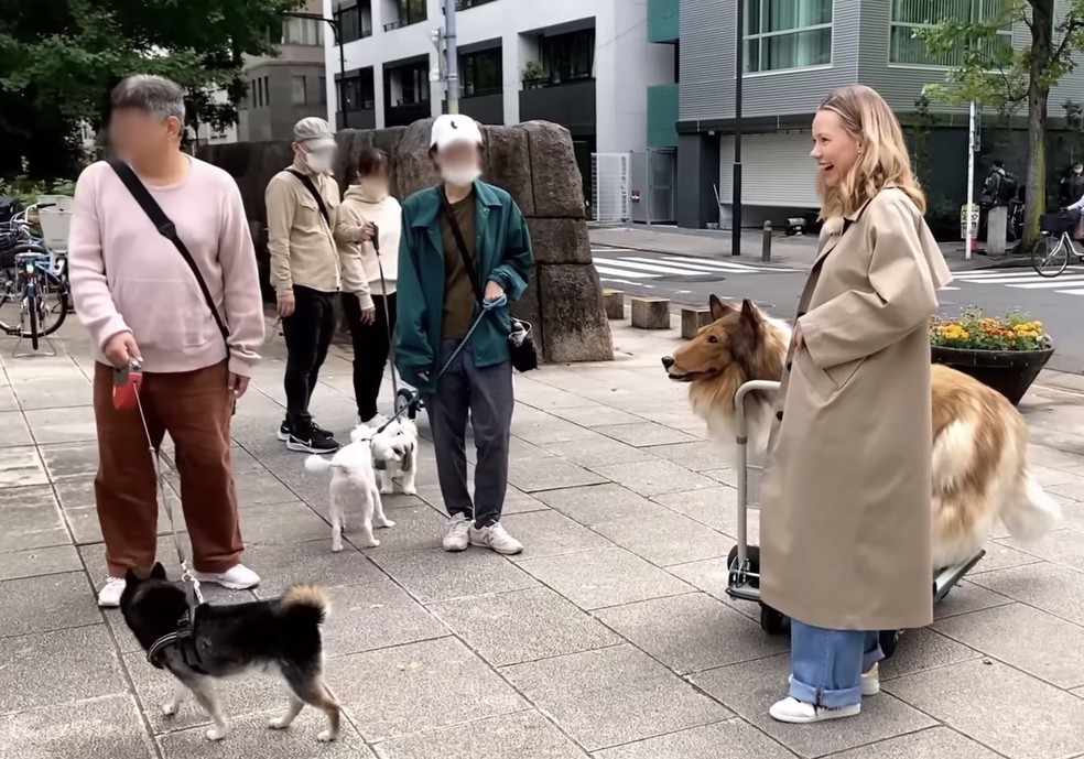 Alguns cães se recusam a se aproximar do falso canino — Foto: YouTube / @I_want_to_be_an_animal / Reprodução