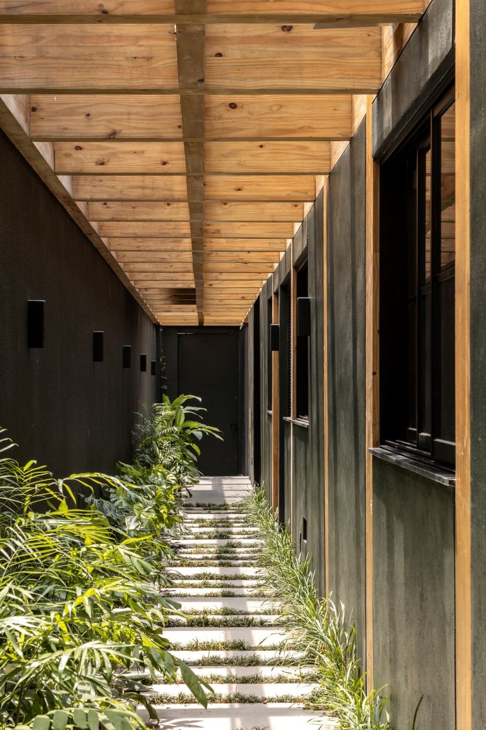 ENTRADA | A cobertura em madeira engenheirada da Rewood acompanha o percurso lateral, emoldurado pelo paisagismo do Estúdio Manacá, com guaimbês, palmeiras de sombra e forrações. Piso da Superfici Revestimentos — Foto: Ruy Teixeira/Divulgação
