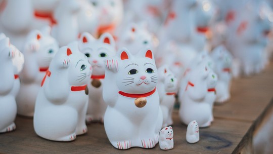 Maneki neko: conheça a história do famoso "gato da sorte chinês"