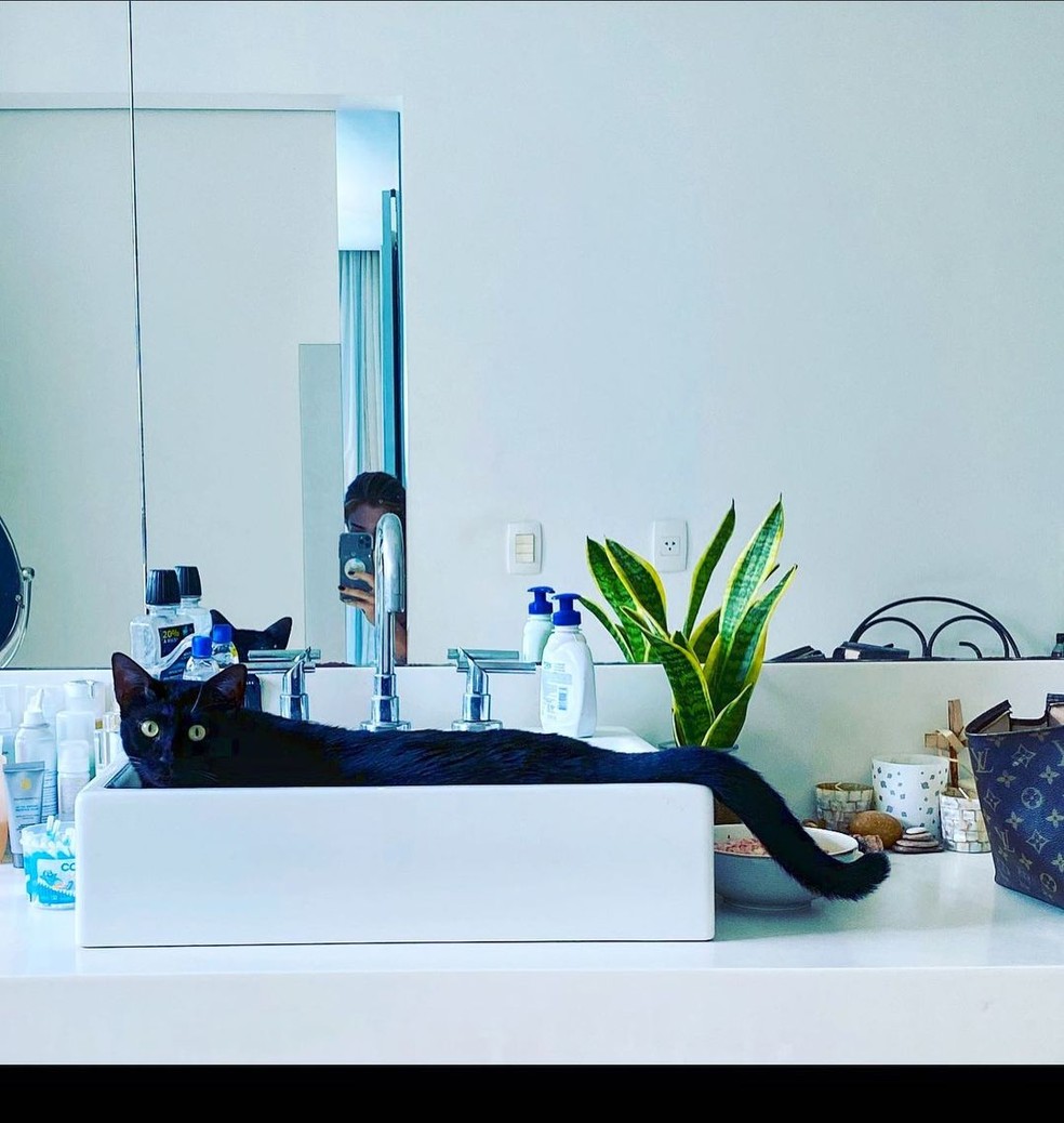 O banheiro tem um espelho grande e uma planta ao lado da pia — Foto: Instagram / Reprodução