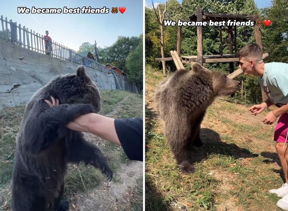 Em vídeos seguintes, o jovem mostra que fez amizade com os dois ursos — Foto: Instagram / @stefan_jankovic / Reprodução