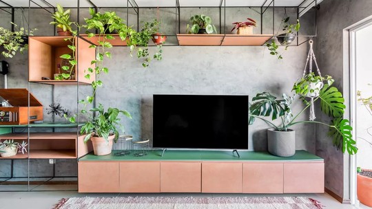 15 plantas para decorar a sala de estar e trazer vida à casa