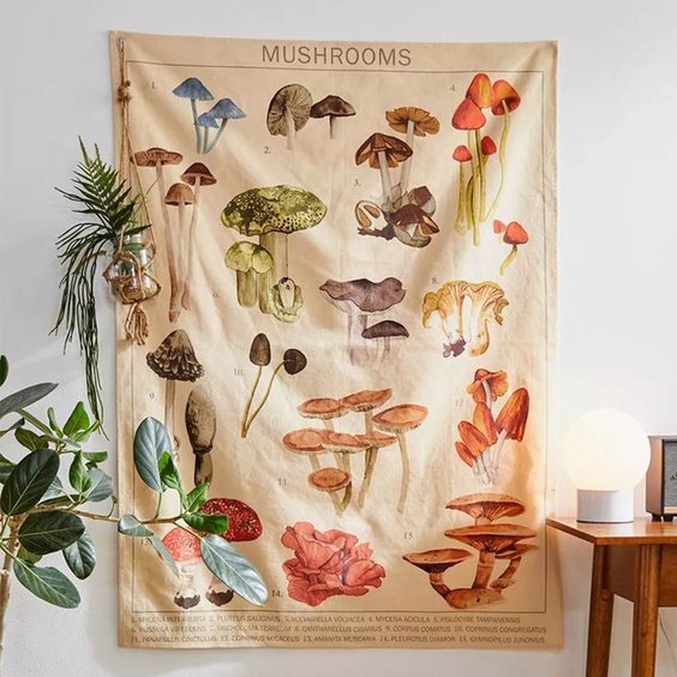 A temática de cogumelos deve aparecer cada vez mais na decoração em 2023 — Foto: Pinterest / Reprodução