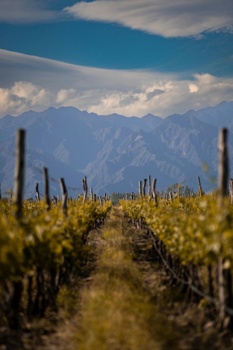 Mendoza, na Argentina, é uma região produtora de vinhos, aos pés da Cordilheira dos Andes, ideal para turismo enológico e gastronômico nas vinícolas — Foto: Pexels/Nano Erdozain/Creative Commons
