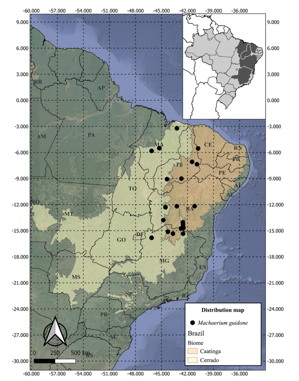 Mapa mostra a ocorrência da 'Machaerium guidone' no território brasileiro — Foto: Retirada do artigo "Machaerium guidone (Leguminosae: Papilionoideae: Dalbergieae) — uma nova espécie notável do nordeste do Brasil, com uma chave revisada para as espécies de Machaerium da Caatinga"