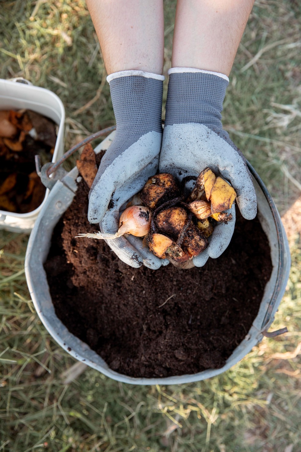Para a compostagem tradicional, separe um recipiente com terra e minhocas — Foto: Freepik / Creative Commons