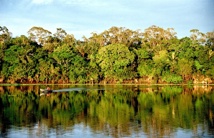 A floresta amazônica é tropical, reúne mais de 30 mil espécies de plantas e é considerada a maior do planeta