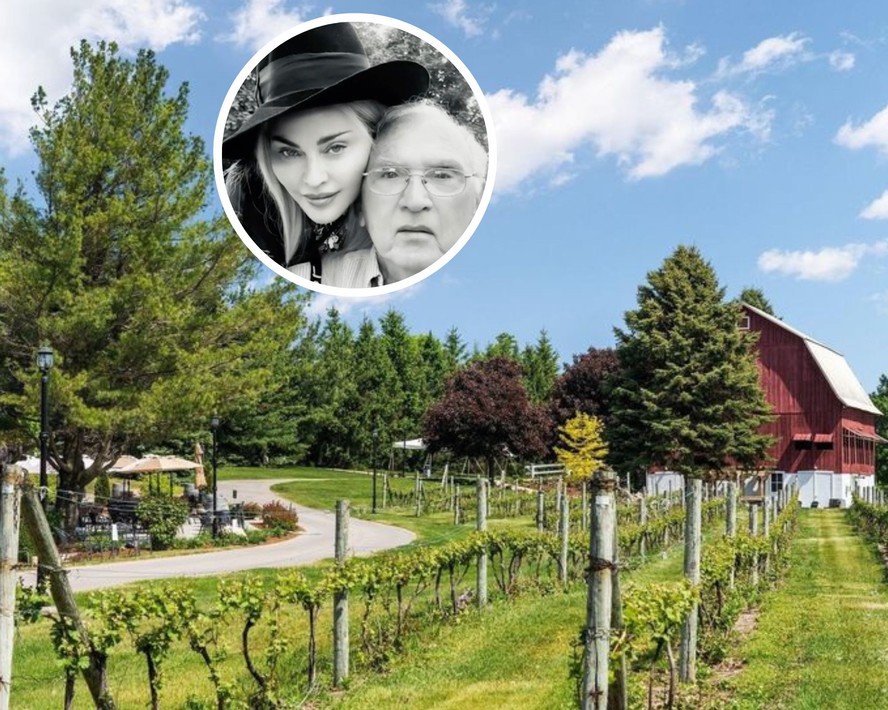 Pai da Madonna coloca à venda vinícola