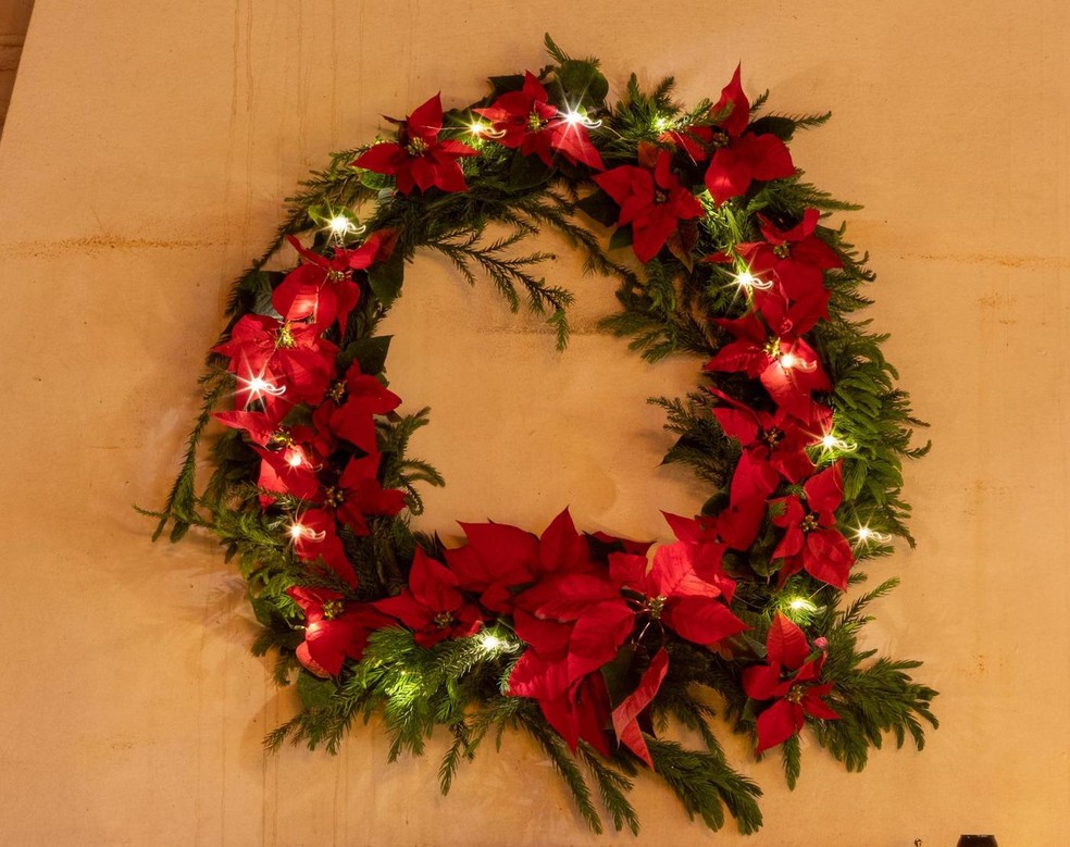 Como usar plantas e flores naturais na decoração de Natal e espécies ...