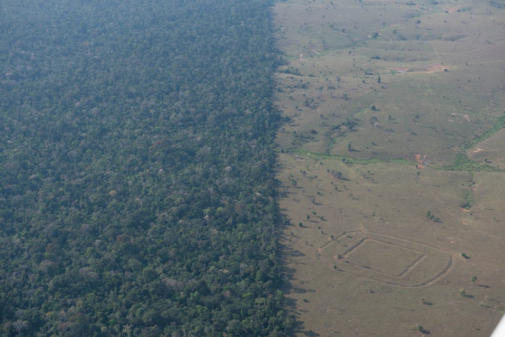 O estudo é importante porque, entre outras razões, reforça o entendimento de que sociedades complexas já ocupavam a Amazônia antes da chegada dos europeus às Américas — Foto: Diego Lourenço Gurgel / Divulgação