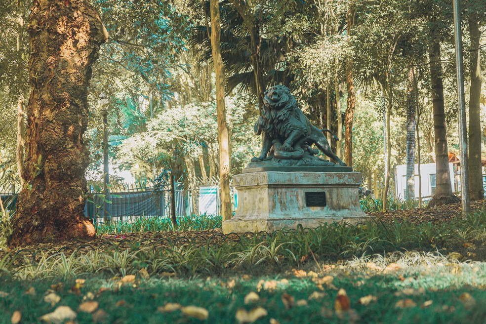 O parque Buenos Aires é uma das poucas áreas verdes que permanecem em funcionamento no bairro do Higienópolis — Foto: SVMA/Daniel Reis/Reprodução