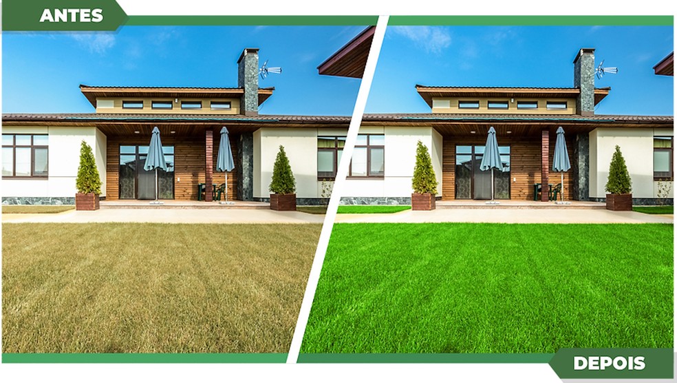 A grama do vizinho parece sempre mais verde? Ela pode ter sido pintada com  tinta! | Paisagismo | Casa e Jardim