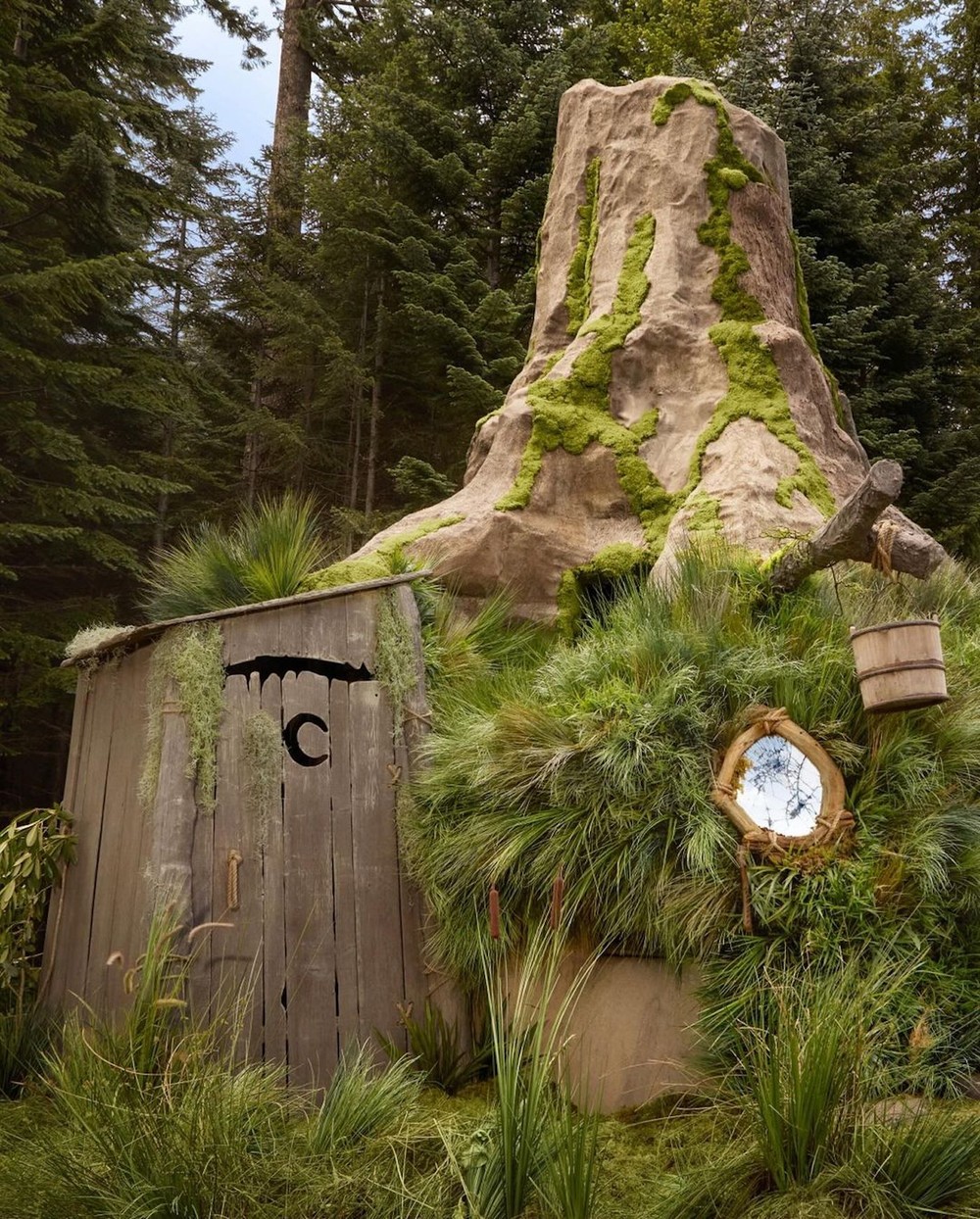 'Casa do Shrek' com chão de terra e jeito de pântano oferece hospedagem ...