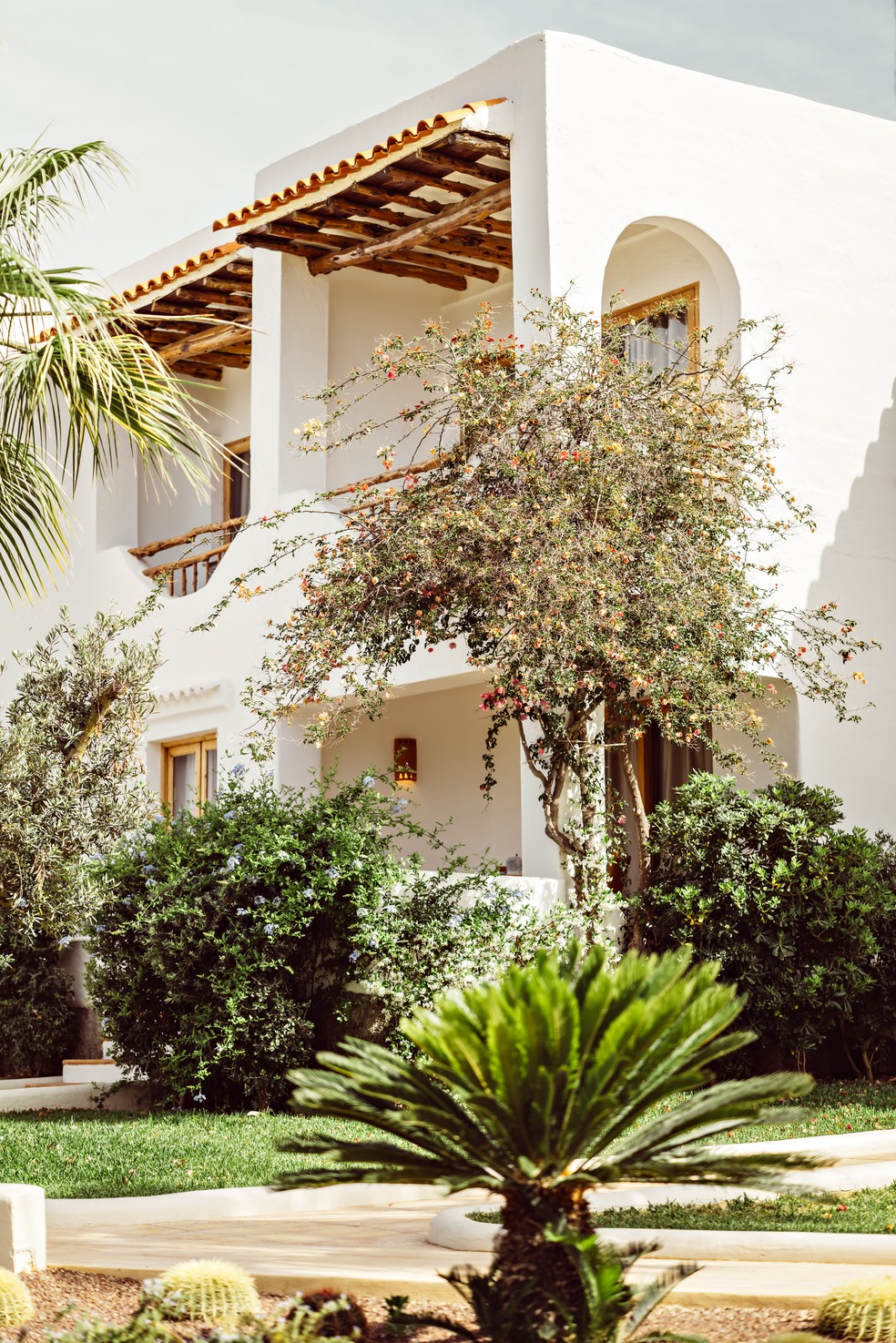 O paisagismo do hotel Petúnia conta com plantas e flores nativas da costa espanhola, como as próprias petúnias — Foto: Benoit Linero / Divulgação