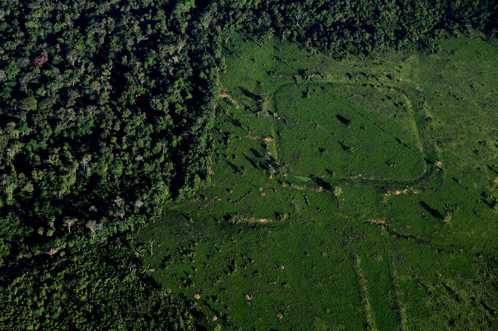 Os dados obtidos pelo estudo também sugerem a prática de agrofloresta por parte dos povos originários, mas sem caráter destrutivo — Foto: Diego Lourenço Gurgel / Divulgação