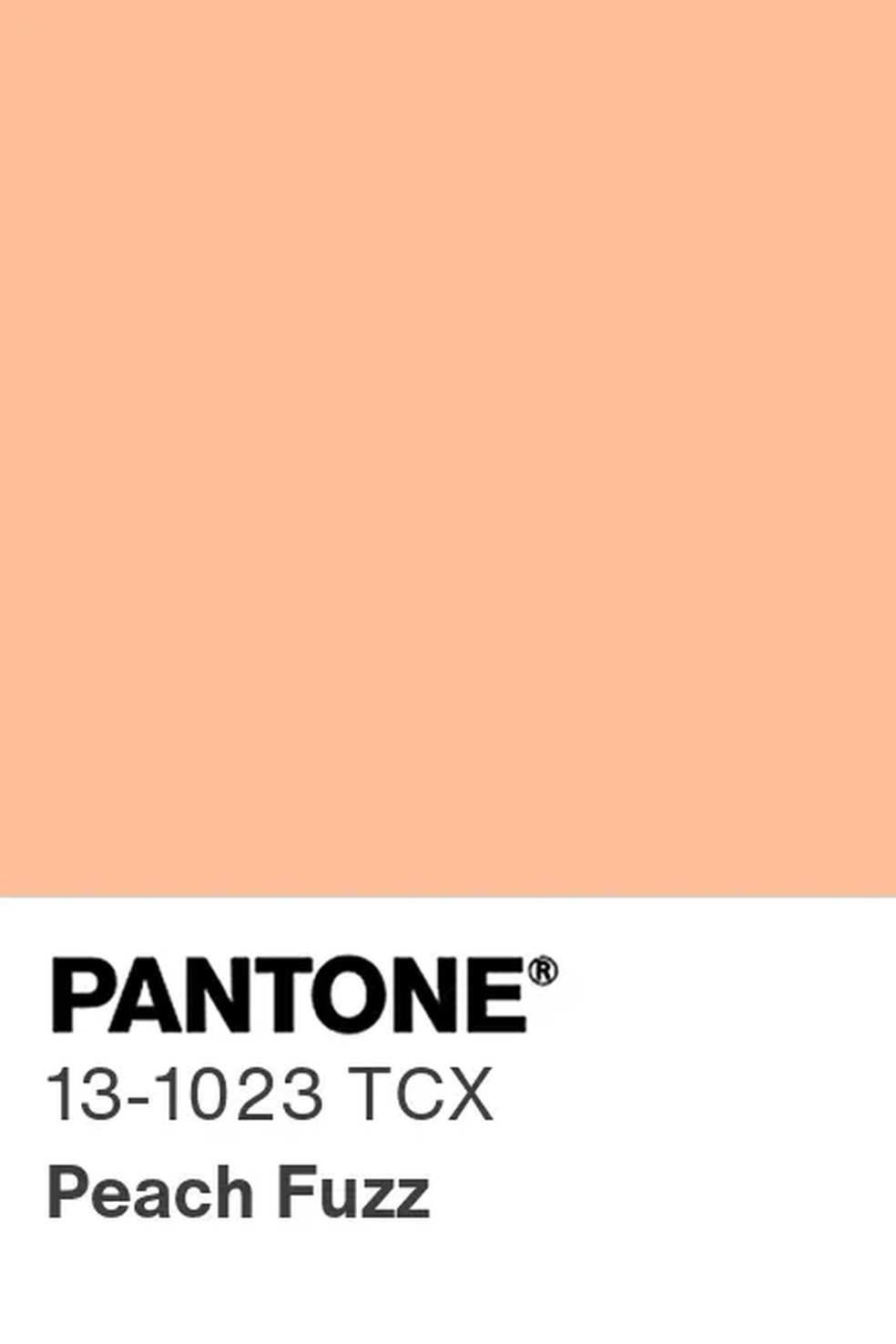 peach-fuzz-eleita-a-cor-do-ano-de-2024-pela-pantone-tend-ncias