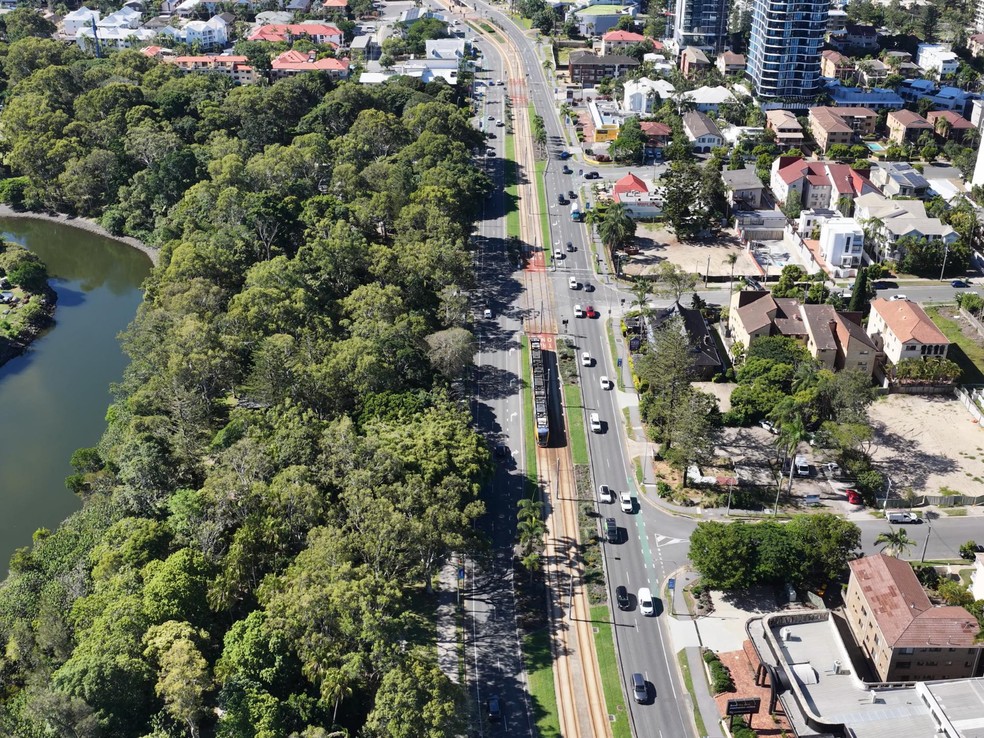 Com a fiação subterrânea, as árvores podem crescer com copas plenas e frondosas, resultando em cidades mais sombreadas e com melhor conforto térmico — Foto: Magnific/Creative Commons