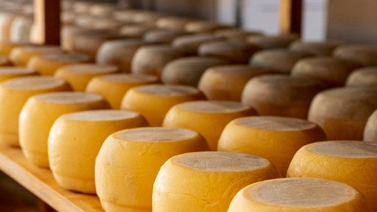 Três queijos brasileiros estão entre os 100 melhores do mundo, segundo ranking Três queijos brasileiros estão entre os 100 melhores do mundo, segundo ranking