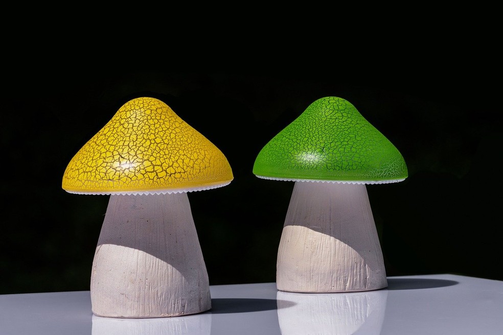 Ao usar peças de cogumelos, vale combiná-las com a paleta de cores da casa — Foto: Pixabay / Willfried Wende / Creative Commons