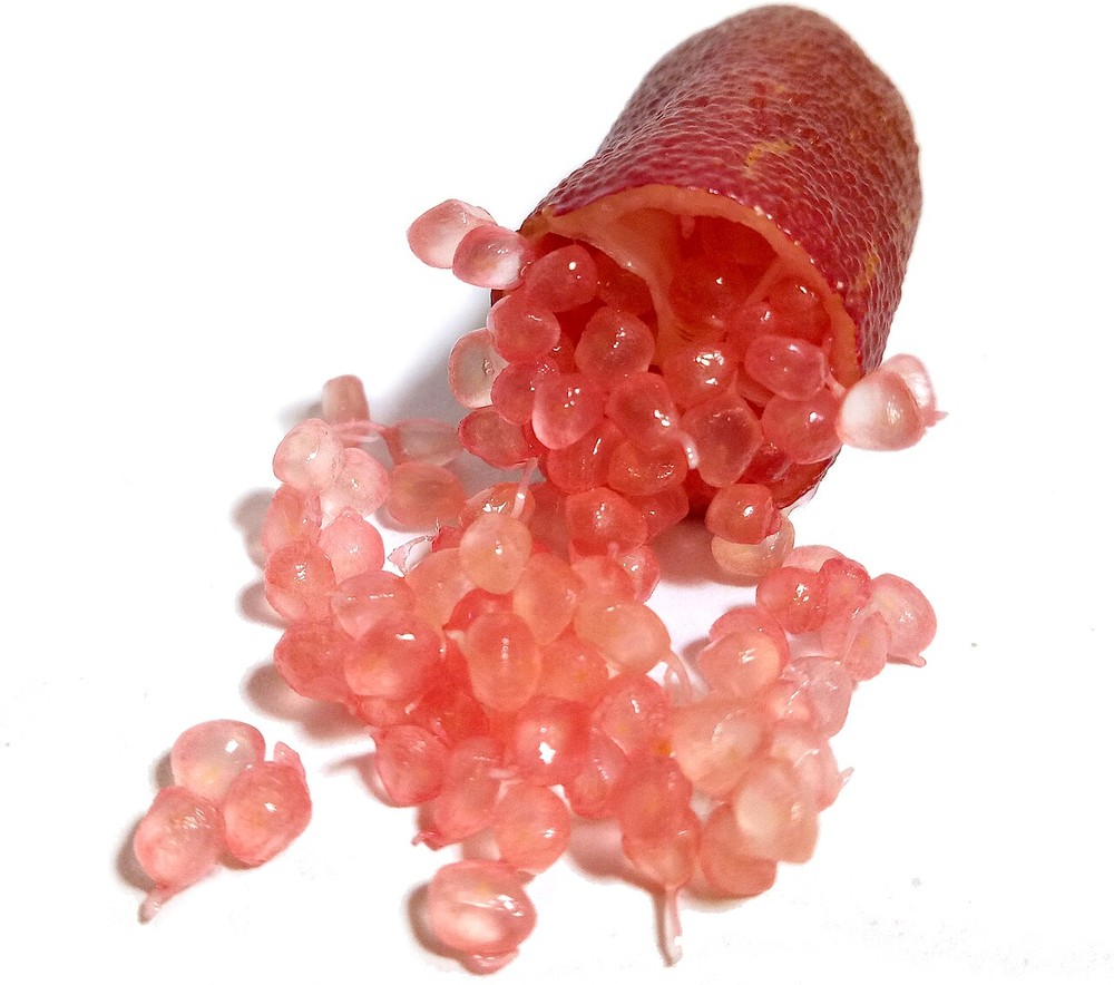Essa fruta cítrica que virou símbolo de sofisticação custa até R$ 2 mil ...